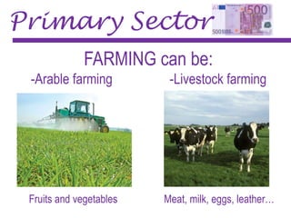 Primary Sector
FARMING can be:
-Arable farming -Livestock farming
Fruits and vegetables Meat, milk, eggs, leather…
 