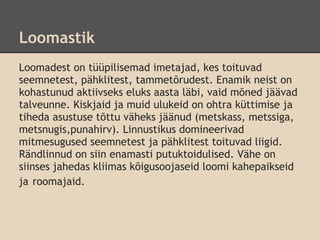Loomastik
Loomadest on tüüpilisemad imetajad, kes toituvad
seemnetest, pähklitest, tammetõrudest. Enamik neist on
kohastunud aktiivseks eluks aasta läbi, vaid mõned jäävad
talveunne. Kiskjaid ja muid ulukeid on ohtra küttimise ja
tiheda asustuse tõttu väheks jäänud (metskass, metssiga,
metsnugis,punahirv). Linnustikus domineerivad
mitmesugused seemnetest ja pähklitest toituvad liigid.
Rändlinnud on siin enamasti putuktoidulised. Vähe on
siinses jahedas kliimas kõigusoojaseid loomi kahepaikseid
ja roomajaid.
 