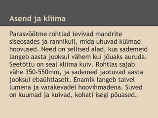  
Asend ja kliima
Parasvöötme rohtlad levivad mandrite
siseosades ja rannikuil, mida uhuvad külmad
hoovused. Need on sellised alad, kus sademeid
langeb aasta jooksul vähem kui jõuaks auruda.
Seetõttu on seal kliima kuiv. Rohtlas sajab
vähe 350-550mm, ja sademed jaotuvad aasta
jooksul ebaühtlaselt. Enamik langeb talvel
lumena ja varakevadel hoovihmadena. Suved
on kuumad ja kuivad, kohati isegi põuased.
 