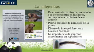 Las inferencias
• En el caso de carnívoros, no todo lo
que se encuentra en las heces,
corresponde a parásitos de esa
especie
• Podría tratarse de parásitos de la
presa
• El caso de huésped forético y
huésped “de paso”
• La importancia de guardar
especímenes en repositorios
(Benavides, 2017)
 