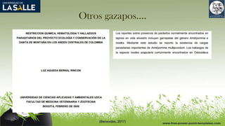 Otros gazapos….
(Benavides, 2017)
 