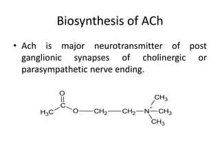 Presentation on Parasympathetic Nervous System | PDF