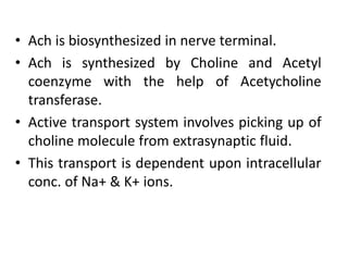 Presentation on Parasympathetic Nervous System | PDF