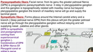 Parasympathetic fibers Facial nerve: from its genu the greater petrosal Nerve
(GPN) is preganglionic parasympathetic nerve it relay in pterygopalatine ganglion
and this ganglion is topographically related with maxillay nerve but beyond
pterygopalatine ganglion the branch of maxillary nerve will go and supply the
lacrimal gland.
Sympathetic fibers: Forms plexus around the Internal carotid artery and a
branch ( Deep petrosal nerve DPN) from this plexus will join the greater petrosal
nerve will go through the pterygopalatine ganglion without relaying and will
supplying nasal , palatine and other glands
(DPN is sympathetic
and postganglionic
coming from
superiorcervical
ganglion ).
Combination of DPN
& GPN= Nerve Of
Pterygoid canal or
 