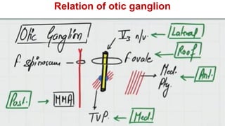 Relation of otic ganglion
 