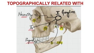 TOPOGRAPHICALLY RELATED WITH
 