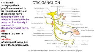 OTIC GANGLION
It is a small
parasympathetic
ganglion connected to
the mandibular division
of trigeminal nerve
Topographically, it is
related to the mandibular
nerve but functionally it
is related to
glossopharyngeal nerve.
Size
Pinhead (2–3 mm in
size).
Location
Infratemporal fossa, just
below the foramen ovale.
 