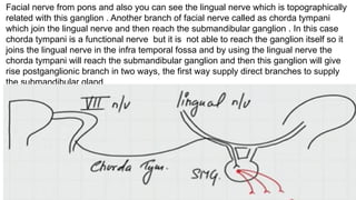 Facial nerve from pons and also you can see the lingual nerve which is topographically
related with this ganglion . Another branch of facial nerve called as chorda tympani
which join the lingual nerve and then reach the submandibular ganglion . In this case
chorda tympani is a functional nerve but it is not able to reach the ganglion itself so it
joins the lingual nerve in the infra temporal fossa and by using the lingual nerve the
chorda tympani will reach the submandibular ganglion and then this ganglion will give
rise postganglionic branch in two ways, the first way supply direct branches to supply
the submandibular gland
 