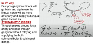 In 2nd
way
Few postganglionic fibers will
go back and again use the
lingual nerve will go more
anteriorly and supply sublingual
gland as well as
SYMPATHETIC FIBERS
Through pluxes around facial
artery and pass through
ganglion without relaying and
supplying the both
submandibular & sublingual
glands.
 