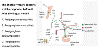 The chorda tympani contains
which component before it
joins the lingual nerve?
A. Preganglionic sympathetic
B. Postganglionic sympathetic
C. Postganglionic
parasympathetic
D. Preganglionic
parasympathetic
 