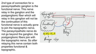 2nd type of connection for a
parasympathetic ganglion is the
functional nerve. This nerve
relay in the ganglion and the
postganglionic fiber which will
relay in this ganglion will not be
the continuation of this
functional nerve is actually gone
to join the topographic nerve.
The parasympathetic nerve do
not go beyond the ganglion, the
postganglionic fibers join with
the topographic nerve. So after
relaying this nerve contain both
properties functional &
topographic.
 