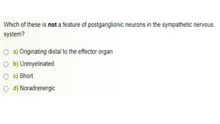 parasympathetic........... ganglion.pptx.