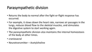 parasympathetic unit IV.pptx | Brain and Nervous System Disorders ...