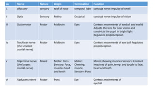 sn Nerve Nature Origin Termination Function
i. olfactory sensory roof of nose temporal lobe conduct nerve impulse of smell
ii Optic Sensory Retina Occipital conduct nerve impulse of vision
iii Oculomotor Motor Midbrain Eyes Controls movements of eyeball and eyelid
Adjusts the lens for near vision and
constricts the pupil in bright light
Regulates proprioception
iv Trochlear nerve
(the smallest
cranial nerve)
Motor Midbrain Eyes Controls movements of eye ball Regulates
proprioception
v Trigeminal nerve
(the largest
cranial nerve)
Mixed Motor: Pons
Sensory: Face,
muscles head
and teeth
Motor:
Chewing
muscle
Sensory: Pons
Moter:chewing muscles Sensory: Conduct
impulses of pain, temp. and touch to face,
head and teeth
vi Abducens nerve Motor Pons Eye Controls movements of
eye bal
 