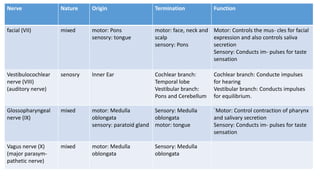 Nerve Nature Origin Termination Function
facial (VII) mixed motor: Pons
senosry: tongue
motor: face, neck and
scalp
sensory: Pons
Motor: Controls the mus- cles for facial
expression and also controls saliva
secretion
Sensory: Conducts im- pulses for taste
sensation
Vestibulocochlear
nerve (VIII)
(auditory nerve)
senosry Inner Ear Cochlear branch:
Temporal lobe
Vestibular branch:
Pons and Cerebellum
Cochlear branch: Conducte impulses
for hearing
Vestibular branch: Conducts impulses
for equilibrium.
Glossopharyngeal
nerve (IX)
mixed motor: Medulla
oblongata
sensory: paratoid gland
Sensory: Medulla
oblongata
motor: tongue
`Motor: Control contraction of pharynx
and salivary secretion
Sensory: Conducts im- pulses for taste
sensation
Vagus nerve (X)
(major parasym-
pathetic nerve)
mixed motor: Medulla
oblongata
Sensory: Medulla
oblongata
 