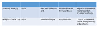 Accessory nerve (XI) motor Brain stem and spinal
cord
muscle of pharynx,
layrnyx and neck
Regulates movement of
head and controls
process of swallowing
Hypoglossal nerve (XII) motor Medulla oblongata tongue muscles Controls movement of
tongue during speaking
and swallowing
 