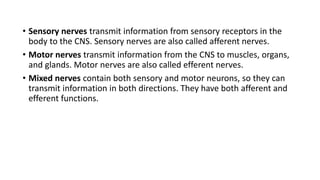 • Sensory nerves transmit information from sensory receptors in the
body to the CNS. Sensory nerves are also called afferent nerves.
• Motor nerves transmit information from the CNS to muscles, organs,
and glands. Motor nerves are also called efferent nerves.
• Mixed nerves contain both sensory and motor neurons, so they can
transmit information in both directions. They have both afferent and
efferent functions.
 