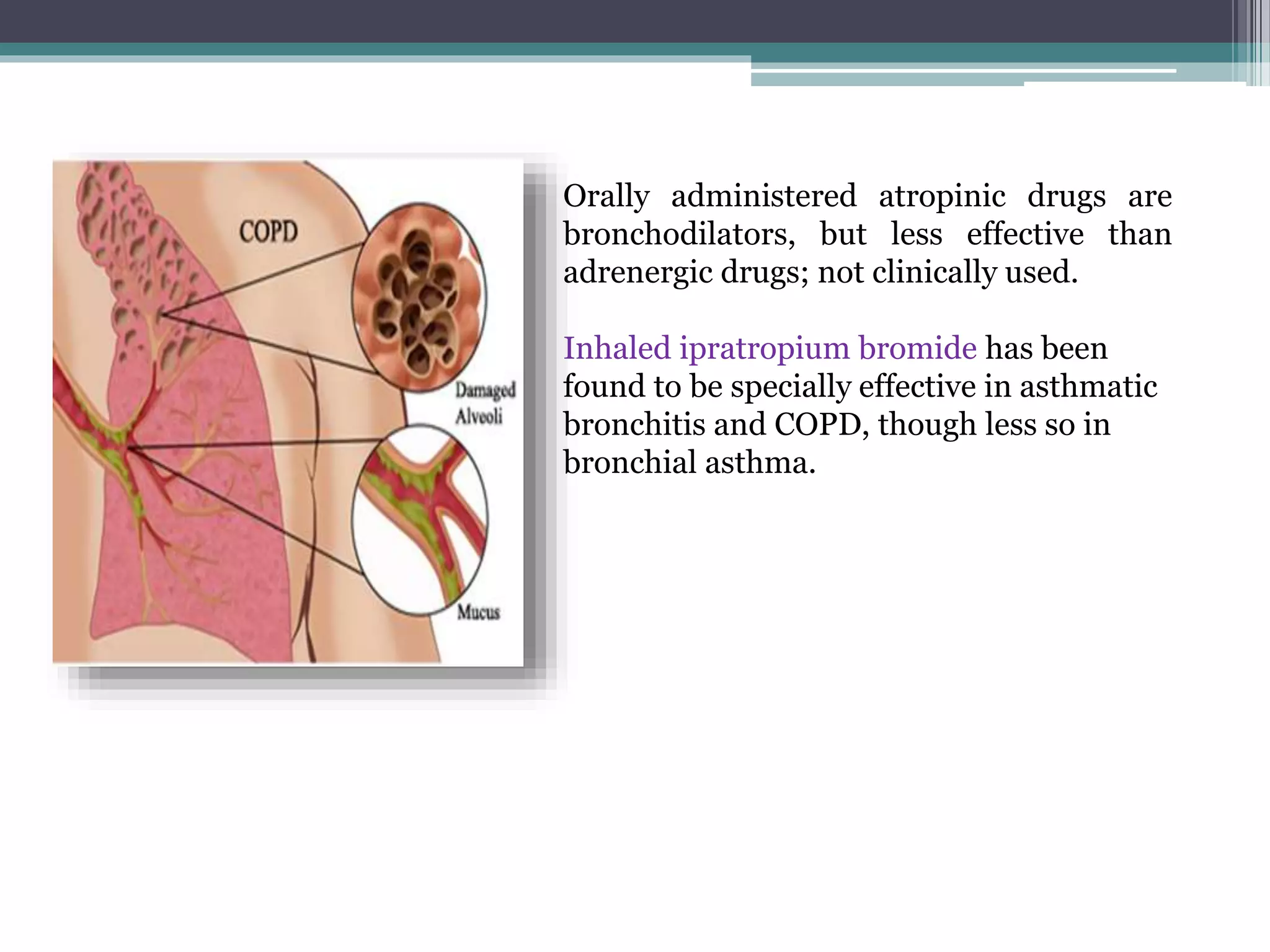 PARASYMPATHOLYTIC DRUGS DEFINITION visual data 6