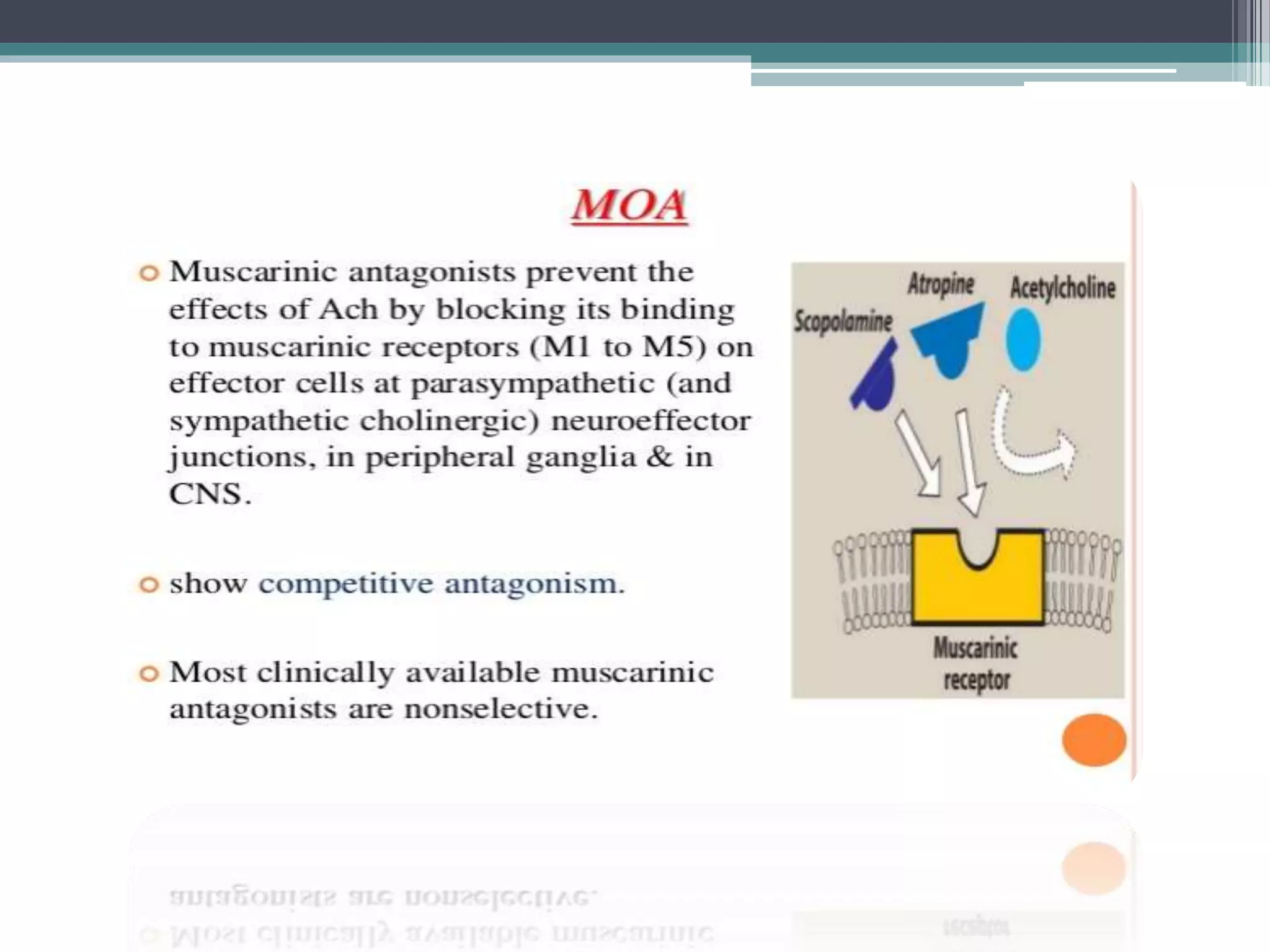 Parasympatholytic visual data 6