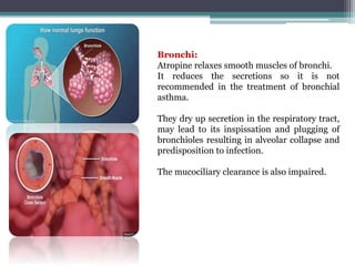 Bronchi:
Atropine relaxes smooth muscles of bronchi.
It reduces the secretions so it is not
recommended in the treatment of bronchial
asthma.
They dry up secretion in the respiratory tract,
may lead to its inspissation and plugging of
bronchioles resulting in alveolar collapse and
predisposition to infection.
The mucociliary clearance is also impaired.
 
