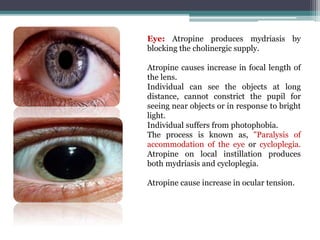 Eye: Atropine produces mydriasis by
blocking the cholinergic supply.
Atropine causes increase in focal length of
the lens.
Individual can see the objects at long
distance, cannot constrict the pupil for
seeing near objects or in response to bright
light.
Individual suffers from photophobia.
The process is known as, "Paralysis of
accommodation of the eye or cycloplegia.
Atropine on local instillation produces
both mydriasis and cycloplegia.
Atropine cause increase in ocular tension.
 
