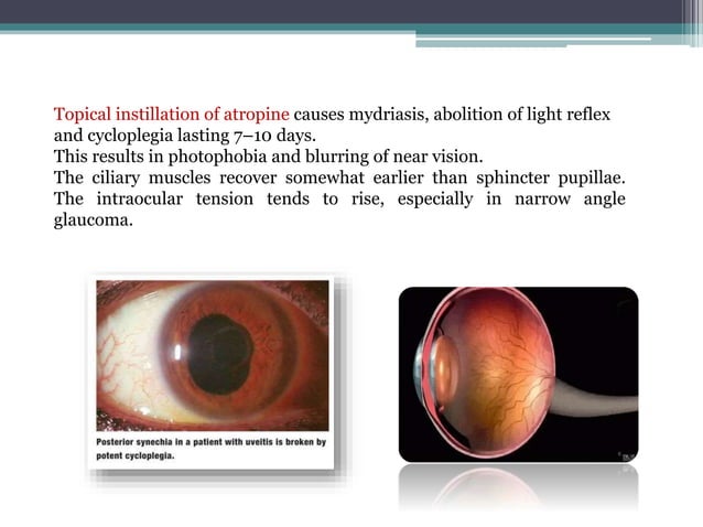 PARASYMPATHOLYTIC EXAMPLES visual data 6
