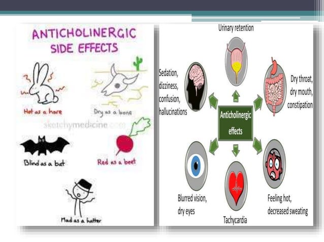 PARASYMPATHOLYTIC EXAMPLES visual data 5