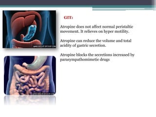 Atropine does not affect normal peristaltic
movement. It relieves on hyper motility.
Atropine can reduce the volume and total
acidity of gastric secretion.
Atropine blocks the secretions increased by
parasympathomimetic drugs
GIT:
 