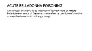 ACUTE BELLADONNA POISONING
It may occur accidentally by ingestion of leaves/ roots of Atropa
belladonna or seeds of Dhatura stromanium or overdose of atropine
or scopolamine or anticholinergic drugs.
 