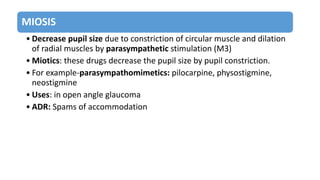 MIOSIS
• Decrease pupil size due to constriction of circular muscle and dilation
of radial muscles by parasympathetic stimulation (M3)
• Miotics: these drugs decrease the pupil size by pupil constriction.
• For example-parasympathomimetics: pilocarpine, physostigmine,
neostigmine
• Uses: in open angle glaucoma
• ADR: Spams of accommodation
 
