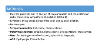 MYDRIASIS
• Increase pupil size due to dilation of circular muscle and constriction of
radial muscles by sympathetic stimulation (alpha-1)
• Mydriatic: these drugs increase the pupil size by pupil dilation.
• For example-
• Sympathomimetics: Ephedrine, phenylephrine
• Parasympatholytics: atropine, homatropine, Cyclopentolate, Tropicamide.
• Uses: For testing error of refraction, ophthalmic diagnosis,
• ADR: Cycloplegia, Photophobia
 