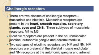  There are two classes of cholinergic receptors –
muscarinic and nicotinic. Muscarinic receptors are
present in the heart, smooth muscles, secretory
glands, eyes and CNS. Three subtypes of muscarinic
receptors, M1 to M3.
 Nicotinic receptors are present in the neuromuscular
junction, autonomic ganglia and adrenal medulla.
 Two subtypes of nicotinic receptors are NM and NN. NM
receptors are present at the skeletal muscle end plate
and NN receptors at the autonomic ganglia and adrenal
Cholinergic receptors
 