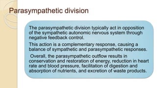Parasympathetic division
The parasympathetic division typically act in opposition
of the sympathetic autonomic nervous system through
negative feedback control.
This action is a complementary response, causing a
balance of sympathetic and parasympathetic responses.
Overall, the parasympathetic outflow results in
conservation and restoration of energy, reduction in heart
rate and blood pressure, facilitation of digestion and
absorption of nutrients, and excretion of waste products.
 