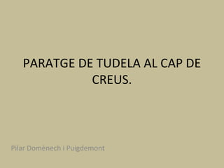 PARATGE DE TUDELA AL CAP DE
             CREUS.



Pilar Domènech i Puigdemont
 