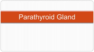 Parathyroid Gland
 
