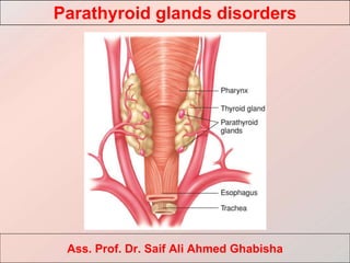 Parathyroid glands disorders
Ass. Prof. Dr. Saif Ali Ahmed Ghabisha
 