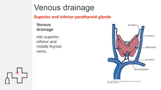 Parathyroid Sampling Parathyroid | PPTX
