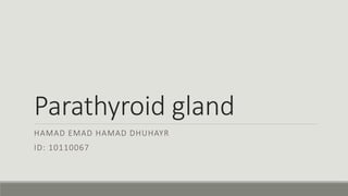 Parathyroid gland
HAMAD EMAD HAMAD DHUHAYR
ID: 10110067
 