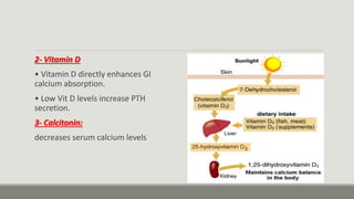 2- Vitamin D
• Vitamin D directly enhances GI
calcium absorption.
• Low Vit D levels increase PTH
secretion.
3- Calcitonin:
decreases serum calcium levels
 