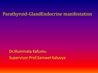 Parathyroid-GlandEndocrine manifestation
Dr.Illuminata Kafumu
Supervisor:Prof.Samwel Kaluvya
 