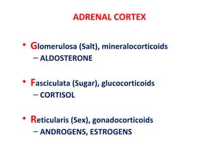 ADRENAL CORTEX
• Glomerulosa (Salt), mineralocorticoids
– ALDOSTERONE
• Fasciculata (Sugar), glucocorticoids
– CORTISOL
• Reticularis (Sex), gonadocorticoids
– ANDROGENS, ESTROGENS
 