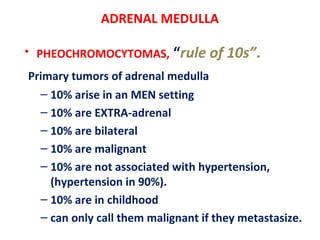 ADRENAL MEDULLA
• PHEOCHROMOCYTOMAS, “rule of 10s”.
Primary tumors of adrenal medulla
– 10% arise in an MEN setting
– 10% are EXTRA-adrenal
– 10% are bilateral
– 10% are malignant
– 10% are not associated with hypertension,
(hypertension in 90%).
– 10% are in childhood
– can only call them malignant if they metastasize.
 
