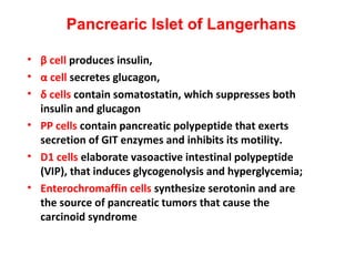• β cell produces insulin,
• α cell secretes glucagon,
• δ cells contain somatostatin, which suppresses both
insulin and glucagon
• PP cells contain pancreatic polypeptide that exerts
secretion of GIT enzymes and inhibits its motility.
• D1 cells elaborate vasoactive intestinal polypeptide
(VIP), that induces glycogenolysis and hyperglycemia;
• Enterochromaffin cells synthesize serotonin and are
the source of pancreatic tumors that cause the
carcinoid syndrome
Pancrearic Islet of Langerhans
 