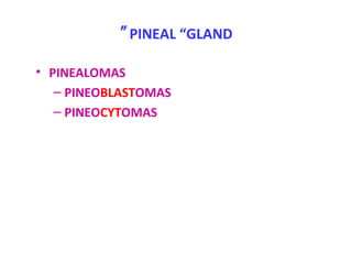 PINEAL “GLAND”
• PINEALOMAS
– PINEOBLASTOMAS
– PINEOCYTOMAS
 