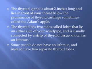  The thyroid gland is about 2-inches long and
lies in front of your throat below the
prominence of thyroid cartilage sometimes
called the Adam's apple.
 The thyroid has two sides called lobes that lie
on either side of your windpipe, and is usually
connected by a strip of thyroid tissue known as
an isthmus.
 Some people do not have an isthmus, and
instead have two separate thyroid lobes.
 