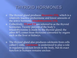  The thyroid gland produces thyroxine (T4), which is a
relatively inactive prohormone and lower amounts of
the active hormone, triiodothyronine (T3).
 Collectively, T3 and T4 are referred to as the thyroid
hormones. Twenty percent of the body’s
triiodothyronine is made by the thyroid gland; the
other 80% comes from thyroxine converted by organs
such as the liver or kidneys.
 The thyroid gland also produces calcitonin from cells
called C-cells. Calcitonin is understood to play a role
in regulating calcium levels in the body, but its exact
function in humans remains unclear.
 