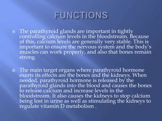  The parathyroid glands are important in tightly
controlling calcium levels in the bloodstream. Because
of this, calcium levels are generally very stable. This is
important to ensure the nervous system and the body’s
muscles can work properly, and also that bones remain
strong.
 The main target organs where parathyroid hormone
exerts its effects are the bones and the kidneys. When
needed, parathyroid hormone is released by the
parathyroid glands into the blood and causes the bones
to release calcium and increase levels in the
bloodstream. It also causes the kidneys to stop calcium
being lost in urine as well as stimulating the kidneys to
regulate vitamin D metabolism .
 