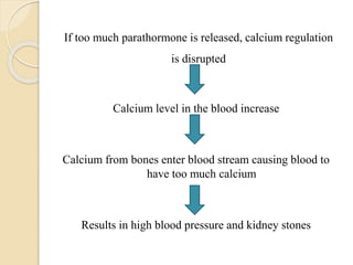 Calcium level in the blood increase
Calcium from bones enter blood stream causing blood to
have too much calcium
Results in high blood pressure and kidney stones
If too much parathormone is released, calcium regulation
is disrupted
 
