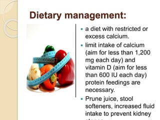 Dietary management:
 a diet with restricted or
excess calcium.
 limit intake of calcium
(aim for less than 1,200
mg each day) and
vitamin D (aim for less
than 600 IU each day)
protein feedings are
necessary.
 Prune juice, stool
softeners, increased fluid
intake to prevent kidney
 
