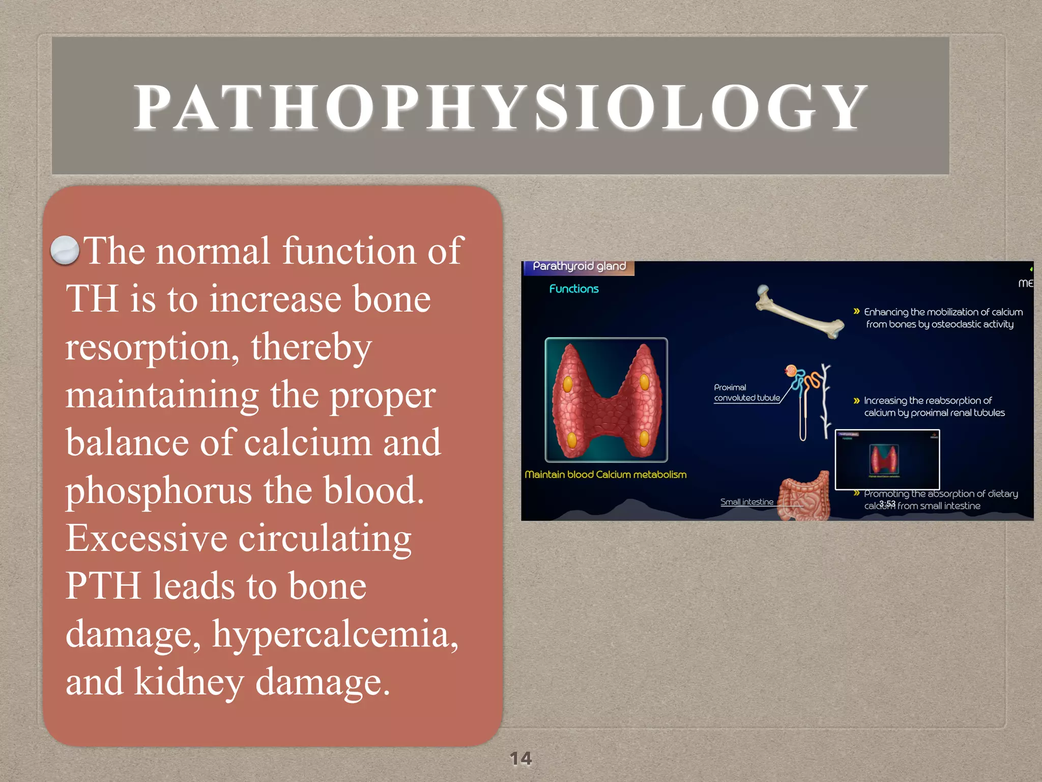 The normal function of
TH is to increase bone
resorption, thereby
maintaining the proper
balance of calcium and
phosphorus the blood.
Excessive circulating
PTH leads to bone
damage, hypercalcemia,
and kidney damage.
14
PATHOPHYSIOLOGY
 